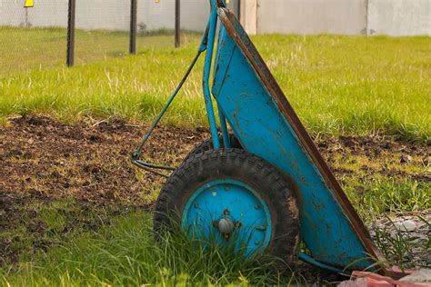 Top Dressing Lawn with Compost - How to Top Dress Your Lawn the Right Way - Gardening Latest