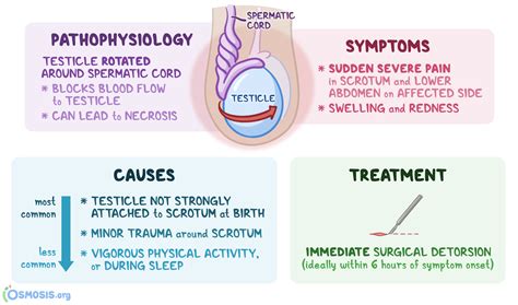 How To Relieve Testicular Pain - Dreamopportunity25