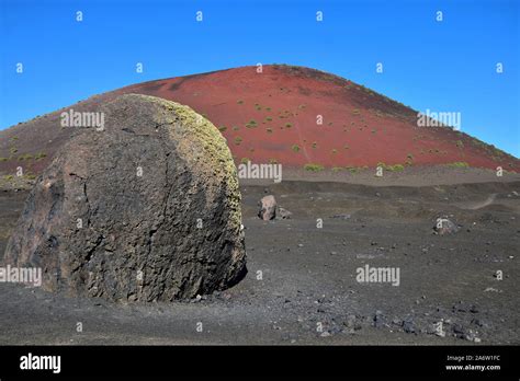 Lava volcano plant hi-res stock photography and images - Alamy