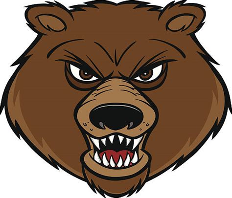 Best Kodiak Brown Bear Illustrations, Royalty-Free Vector Graphics ...