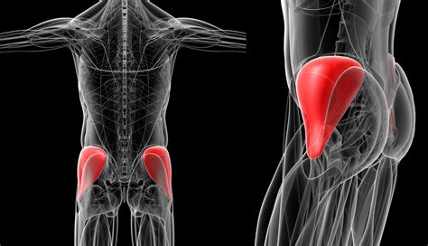 Gluteus Medius Syndrome Treatment | Total Health Systems