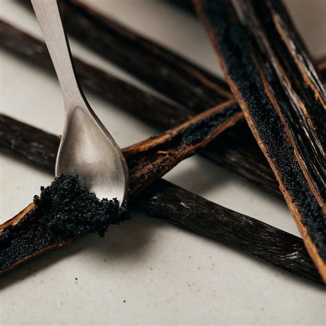 Mexican Vanilla Beans - MexicanVanilla.com