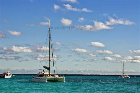 Coral Wild - A Safari Guides Diary: Sailing Ningaloo Reef, Australia