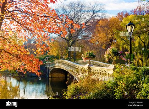 Bow Bridge Central Park Autumn New York City Stock Photo - Alamy