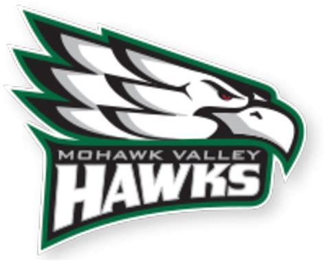 Mohawk Valley Community College Hawks | MascotDB.com