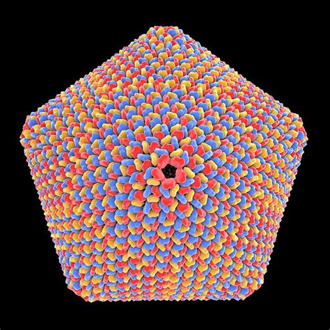 Icosahedral Virus Capsid #5 Photograph by Alfred Pasieka/science Photo ...