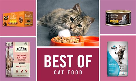 The Best Cat Food of 2022, According to Cat Parents Like You | BeChewy