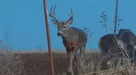 10 Point Whitetail Buck | Mike and Rick Outdoors