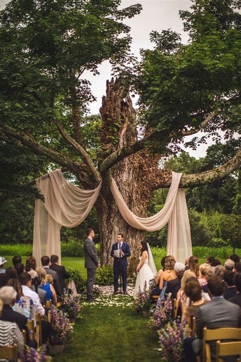 20 Outdoor Tree Wedding Backdrops and Arches 2024 - HMP