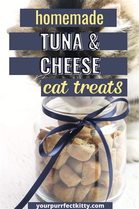 Tuna and Cheese Homemade Cat Treats - Your Purrfect Kitty