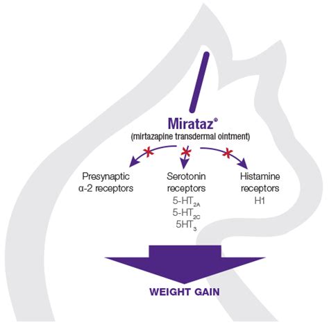 Mechanism of Action – Mirataz