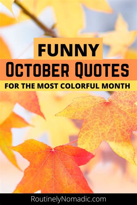 Funny October Quotes: 95 Funny October Sayings for 2023 | Routinely Nomadic