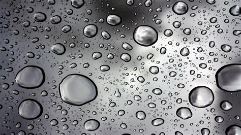 HD Rain Water Droplets Background Images Wallpaper | Download Free - 141335