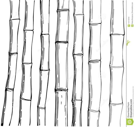 Bamboo Stick Drawing