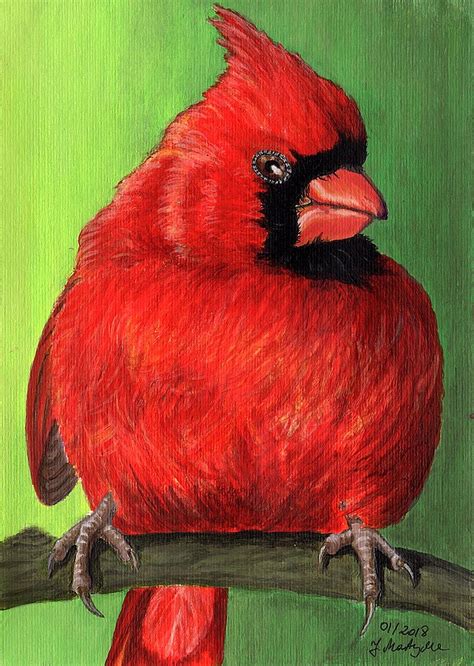 Red cardinal, bird, acrylic paints, J. Martynka, PurpleCat Design ...