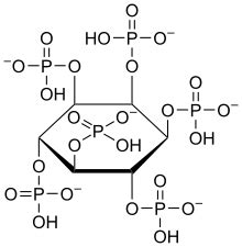 Phytic acid - Wikipedia