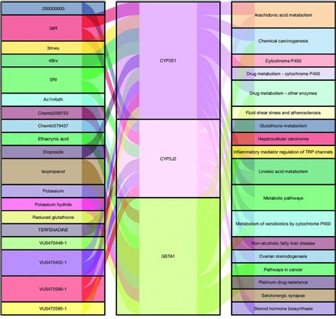 The drug-gene interaction analysis. | Download Scientific Diagram