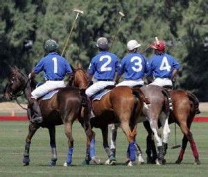 Polo Players and Polo Teams | Polo team, Sport horse, Equestrian sports