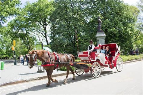 Central Park Carriage Rides (New York City) - 2019 All You Need to Know BEFORE You Go (with ...