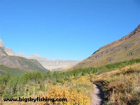 Photographs of the Iceberg Lake Trail in Glacier National Park : Near the Beginning of the ...