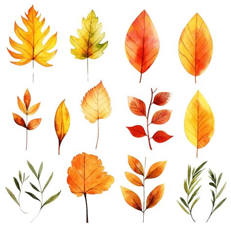 Watercolor Autumn Fall Leaves Elements, Elements, Watercolor, Leaf PNG Transparent Image and ...