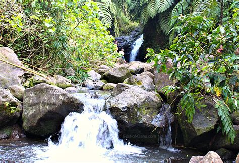 Discover 10 Stunning Oahu Waterfalls