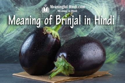 Brinjal Meaning in Hindi ब्रिंजल का मतलब हिंदी में | Brinjal Ka Matlab