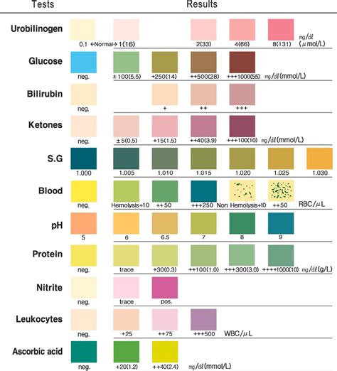 Urine Urobilinogen Test Purpose, | Lab Tests Guide