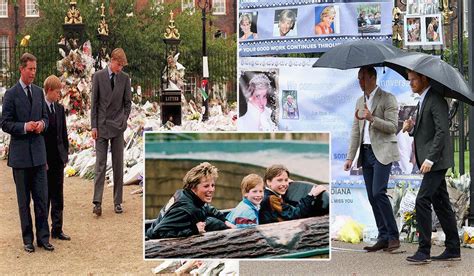 Pictured: William and Harry pay public tribute to Diana on 20th ...