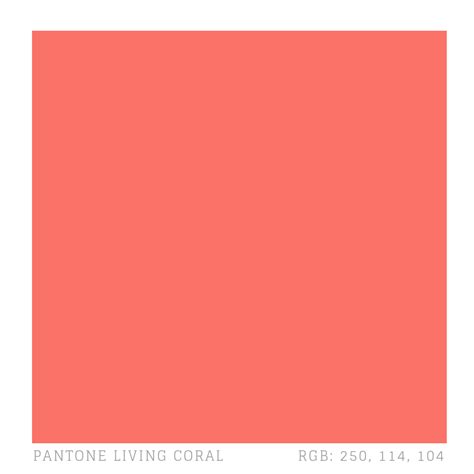 Exemplary Coral Colour 2019 Pantone 196c