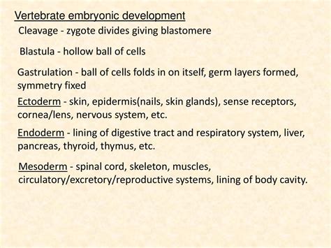 Developmental Biology - ppt download