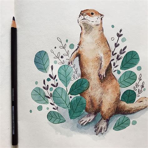 30 Best Otter Illustrations Ideas You Should Check