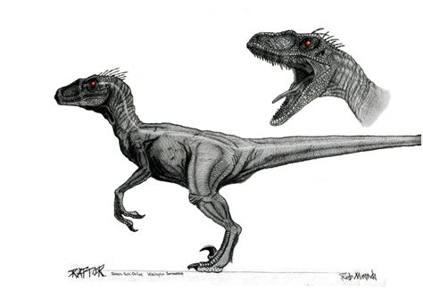 Male Velociraptor Concept Art by yankeetrex on DeviantArt