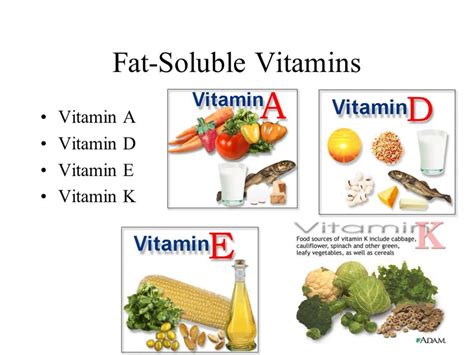 Fat and Water Soluble Vitamins - HubPages