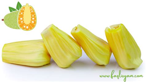 Buah Nangka – Segalanya Tentang Tumbuhan…