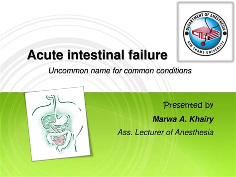 PPT - Acute intestinal failure PowerPoint Presentation, free download - ID:4842750