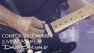 David Gilmour - Comfortably Numb (Live At Pompeii) Chords - ChordU