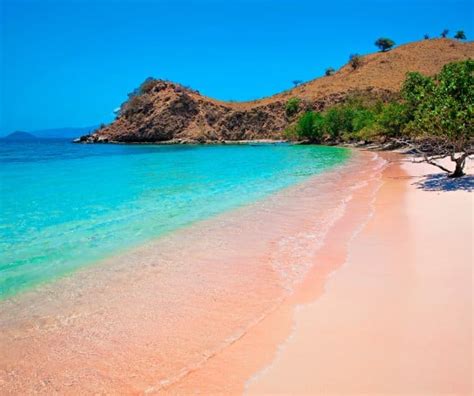 Complete Guide to the Pink Beaches of Indonesia - ETG Blog