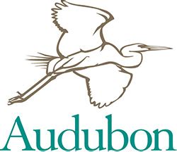 National-Audubon-Society-logo – Juniata Valley Audubon Society