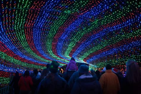 Visiting Austin's 2019 Trail of Lights | Austin, TX Insider Blog