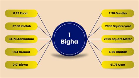 What Is Bigha in Land Measurement: All You Need to Know about It