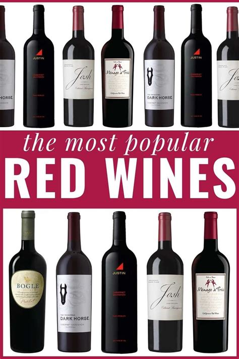 The Best Red Wines - Best Red Wines for Beginners | Red wine, Red blend wine, Best red wine