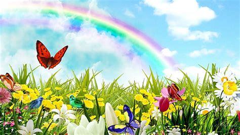 HD wallpaper: Rainbow Surprises, flowers, spring, birds, field, butterflies | Wallpaper Flare