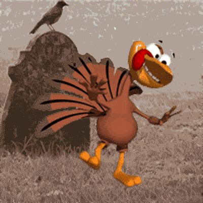 Dancing Turkey GIF - Cute Wild Animals