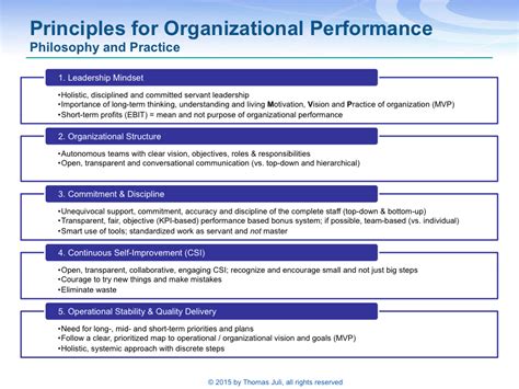 The 5 Principles for Organizational Performance