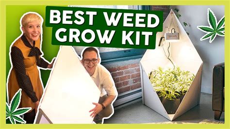 BEST Weed Grow Kit for Beginners! (2019) - YouTube