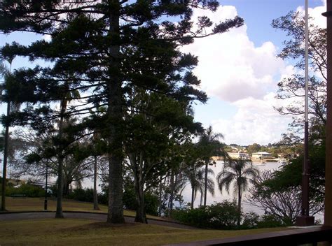 Newstead Park - Brisbane City QLD