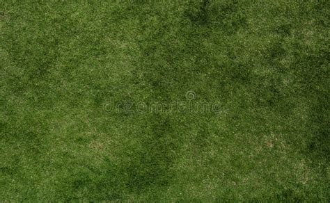 Football Field Grass Texture