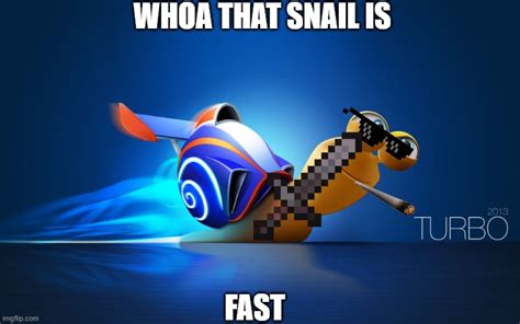 WHOA THAT SNAIL IS FAST - Imgflip