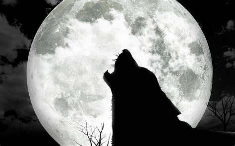 🔥 [65+] Wolf Moon Wallpapers | WallpaperSafari